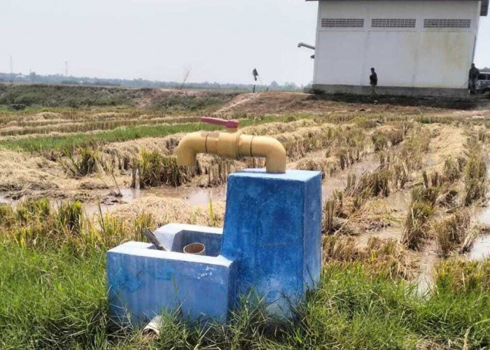 Proyek Irigasi di Ogan Ilir Dikeluhkan Petani, Banyak Pipa Bocor Hingga Sebabkan Spanning Listrik Warga 