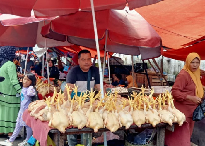 Menjelang Puasa Harga Daging Naik, Harga Ayam Adem Ayem