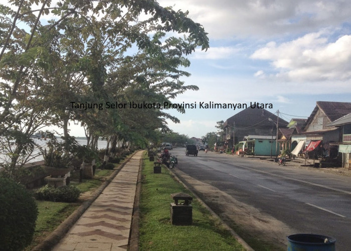 Desakan Kuat untuk Memekarkan Tanjung Selor Menjadi Kota di Provinsi Kalimantan Utara