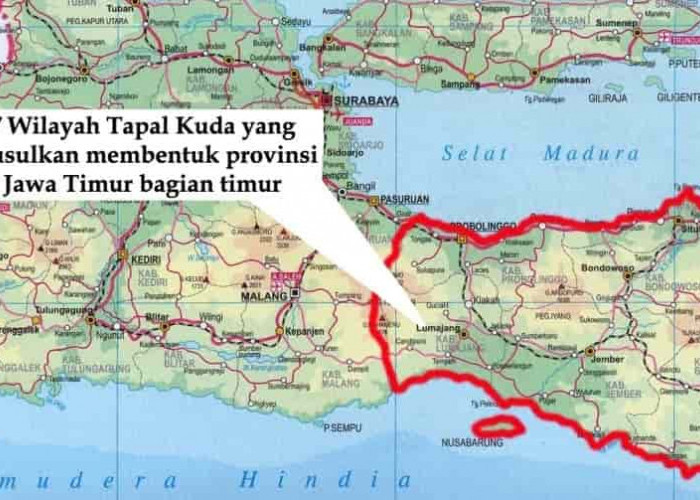 Wacana Daerah Otonomi Baru Pemekaran Provinsi Jawa Timur, 7 Kabupaten Kota Gabung Provinsi Blambangan