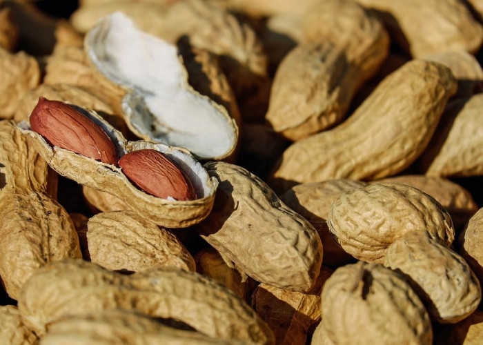 Mitos atau Fakta Kebanyakan Makan Kacang Bisa Memicu Jerawat ?
