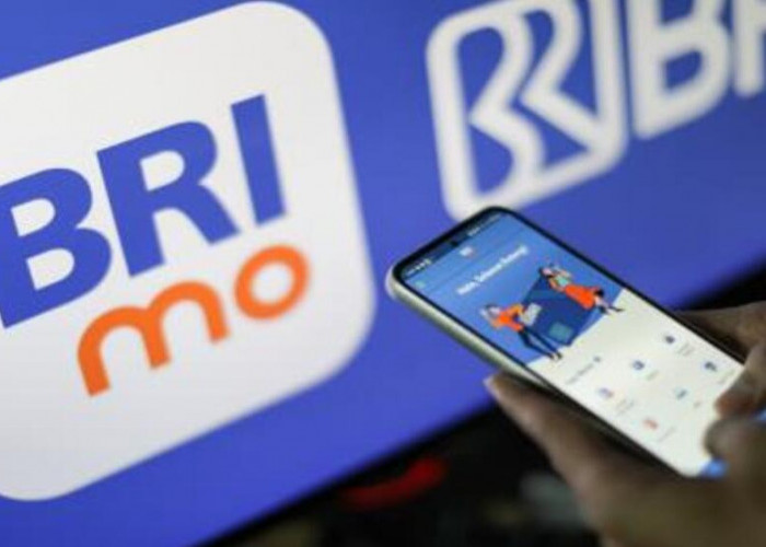 BRImo Permudah Transaksi Hingga Pelosok Desa