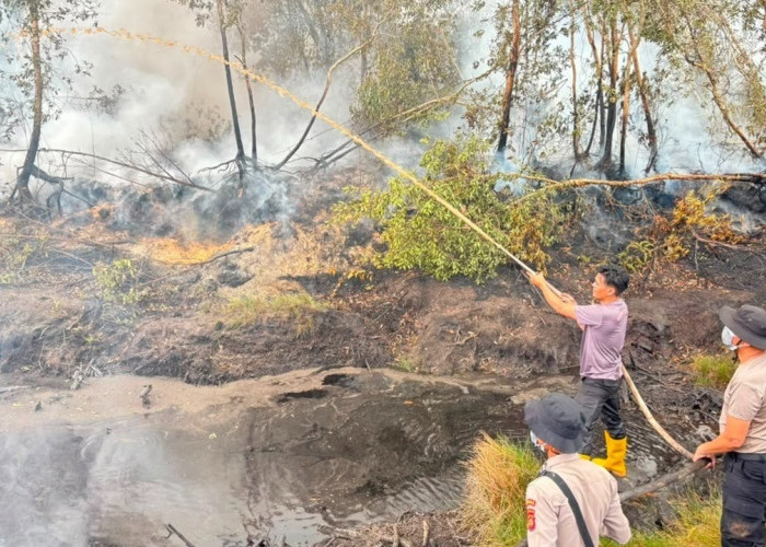 Operasi Aman Nusa II, 19 Personel Tangani Karhutla di Teluk Limau