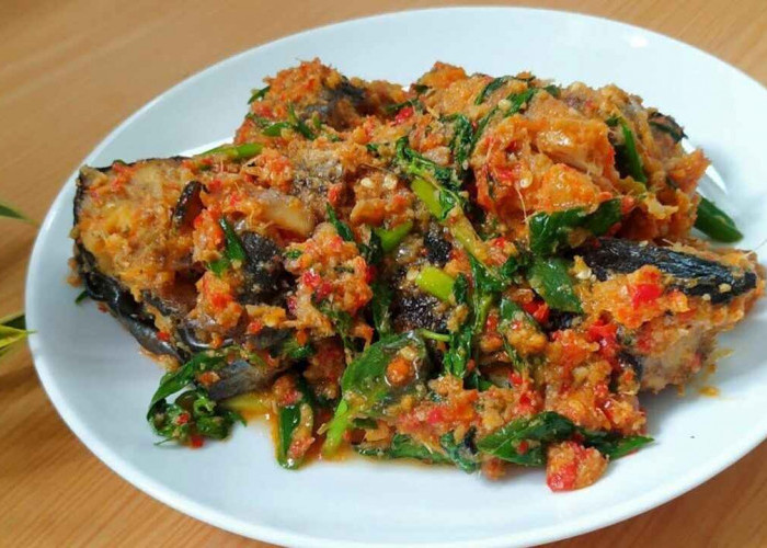Ikan Patin Sambal Kemangi, Perpaduan Cita Rasa Nusantara yang Kian Digemari