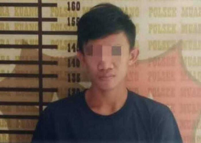 Lakukan Pencurian Buah Sawit Berulang Kali milik Prusahaan, Pemuda di Ogan Ilir Ditangkap Polisi