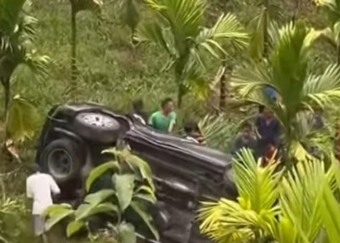 Laka Tunggal, Fortuner Terperosok di Perkebunan Sawit di OKU