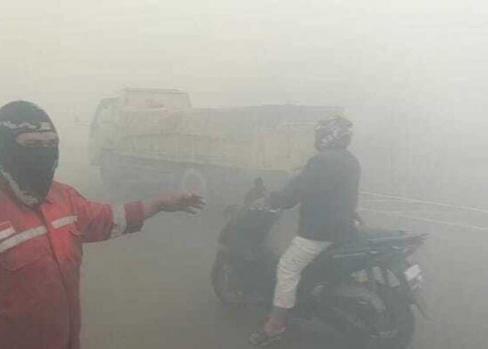 Dua Hari Asap Tepal Selimuti Jalinsum Palembang-Indralaya, 200 Hektar Lahan di Ogan Ilir Kembali Terbakar