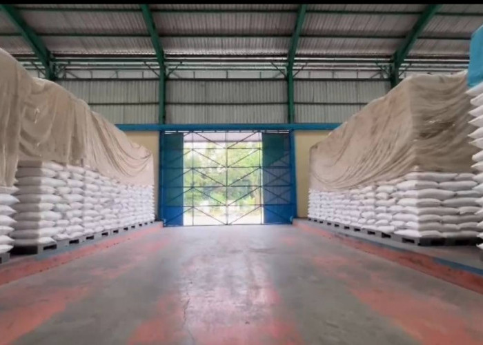 Bulog Sumsel-Babel Gunakan Fumigasi untuk Kendalikan Hama dan Jaga Kualitas Beras di Gudang