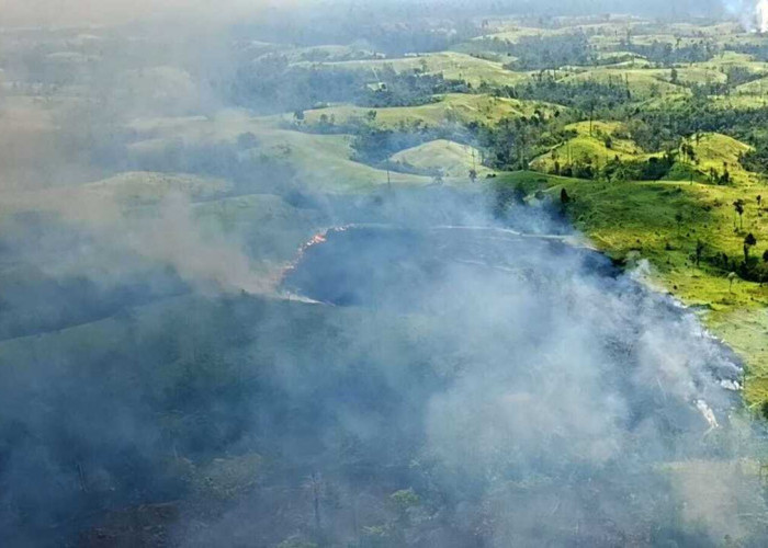 BPBD OKU Padamkan Karhutla di Lengkiti dan Air Paoh