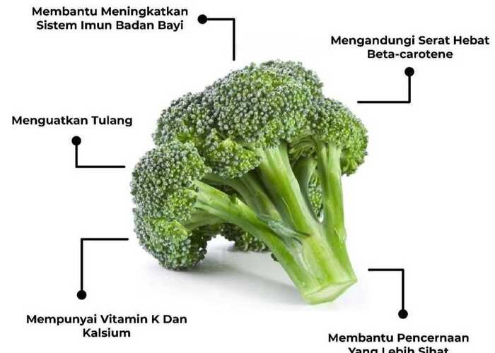 Brokoli Bermanfaat Untuk Kesehatan Jantung dan Pencernaan
