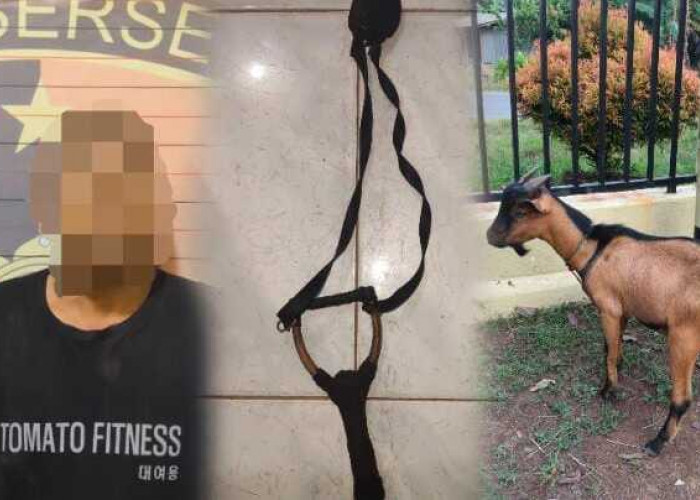 Kepergok Warga Curi Kambing di Siang Hari