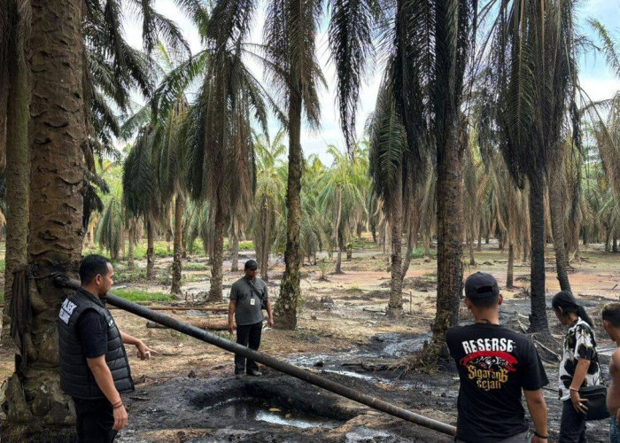 Tempat Jual Beli Minyak Ilegal Keluang Terbakar