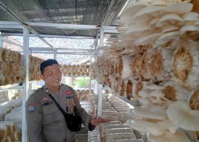 Ciptakan Cemilan Ringan Jajanan Mang Bhabin