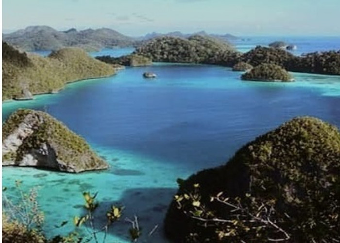 Teluk Cendrawasih, Surga Bawah Laut di Papua yang Menawarkan Keindahan Spektakuler