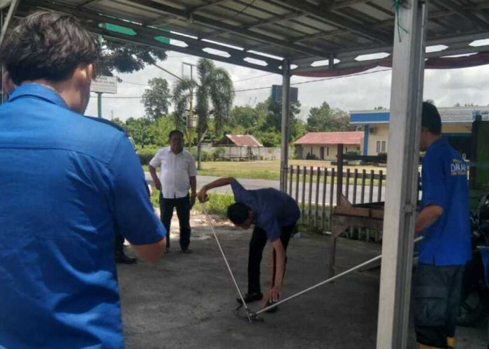 Bikin Panik: Ular Cobra Masuk ke Dalam Kantor DPD Partai Nasdem OKI!