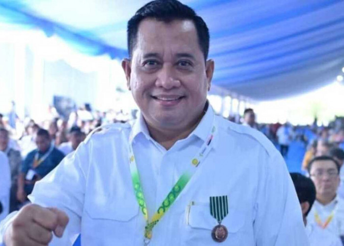 Berkat Capaian Produksi GKG: Bupati Banyuasin Raih Penghargaan dan Satyalencana Wira Karya 