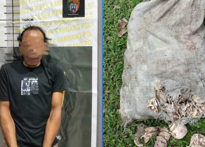 Pencuri Getah Karet Nyaris Tewas Diamuk Massa
