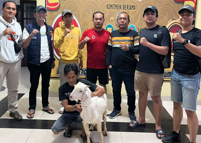 7 Bulan Masuk DPO, Pencuri Kambing Dibekuk Team Gabungan Polres Prabumulih