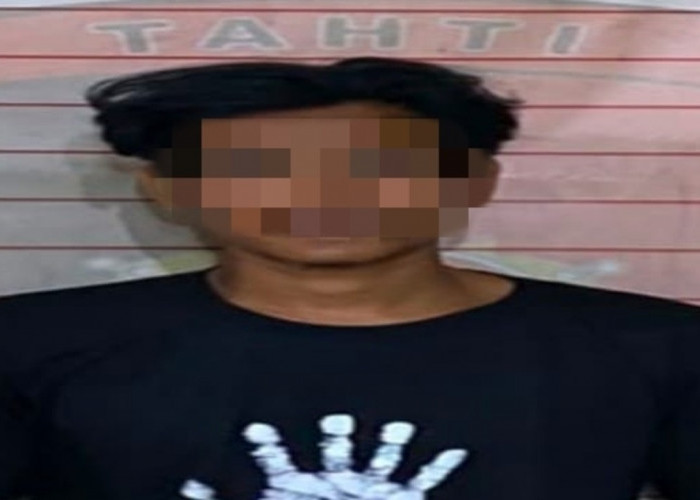 Kebakaran Lahan Sawit di Sridamai, Polisi Sita Bibit dan Kayu Bekas Terbakar
