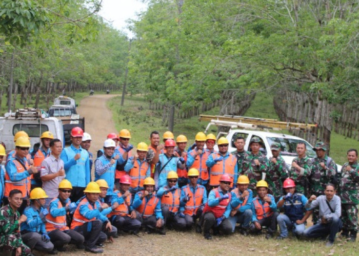 Kolaborasi PLN dan Kodim 0425 Seluma Perkuat Keandalan Listrik Kabupaten Seluma Lewat Gebyar Right of Way