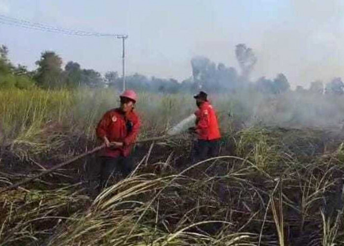 5,7 Hektare Lahan Terbakar, BPBD Ogan Ilir Siagakan Ratusan Personel Antisipasi Karhutla 2025