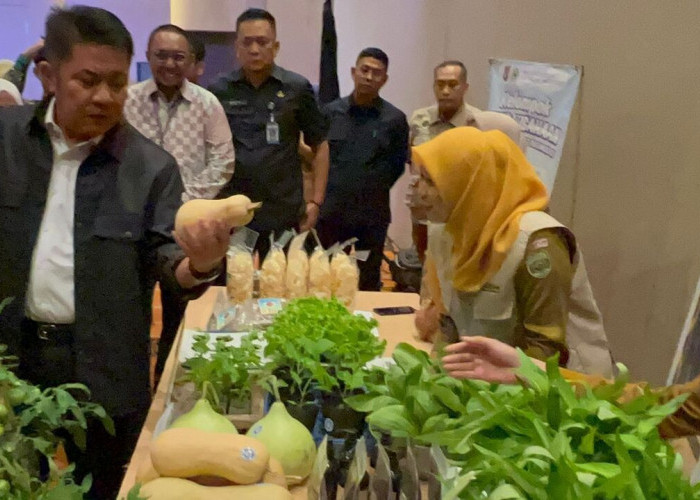 Pemprov Sumsel Terapkan Mulok Kemandirian Pangan di 997 SMA/SMK untuk Cetak Generasi Mandiri