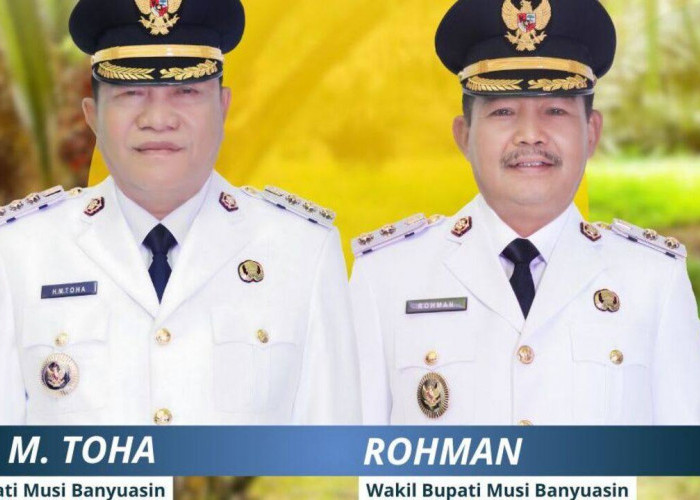 Ayo Segera Daftar : PT Hindoli Buka Lowongan Kerja di Sektor Perkebunan