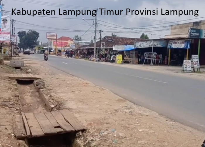 Tahapan Pemekaran Kabupaten Lampung Tenggara: Dukungan Masyarakat dan Tantangan Perjalanan
