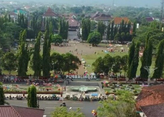 Fakta Mendunia Purbalingga di Provinsi Jasela Pemekaran Jawa Tengah, Nomor 1 Bikin Kaget 