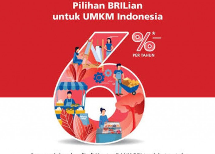 Program KUR BRI: Solusi Finansial Andalan untuk UMKM, Dorong Pertumbuhan Ekonomi Lokal