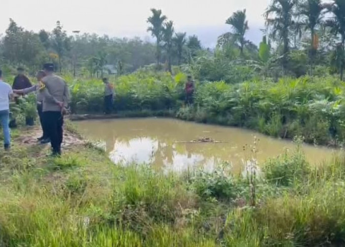 Dua Bocah di Lubuklinggau Tewas Tenggelam di Kolam Pembibitan Sawit 
