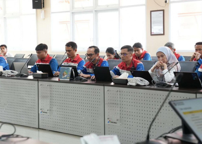 Tingkatkan Keandalan Operasi, RU III Plaju Terima Site Visit Assessment Utilisasi SAP PM dari Holding Pertamin