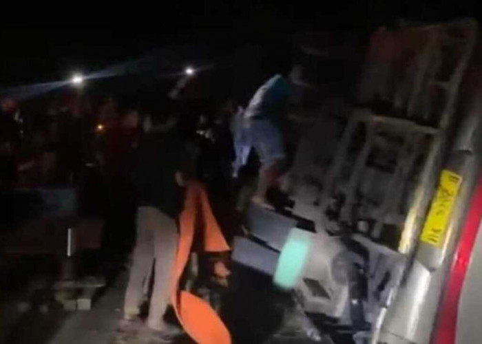 Bus Rombongan Umroh Asal Jambi Alami Lakalantas 4 Meninggal, Ini kronologisnya