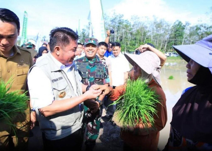 Hadapi El Nino, OKI Jadi Lokus Utama Percepatan Tanam Padi Sumsel