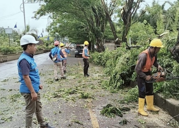 PLN UP3 Lubuklinggau Sambut Hari Kesaktian Pancasila dengan Pembersihan Jalur Listrik di Jalan Lintas Sumatera