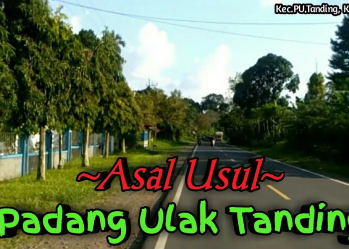 Pemekaran Wilayah Bengkulu: Aspirasi Penetapan Kabupaten Lembak Padang Ulak Makin Kuat