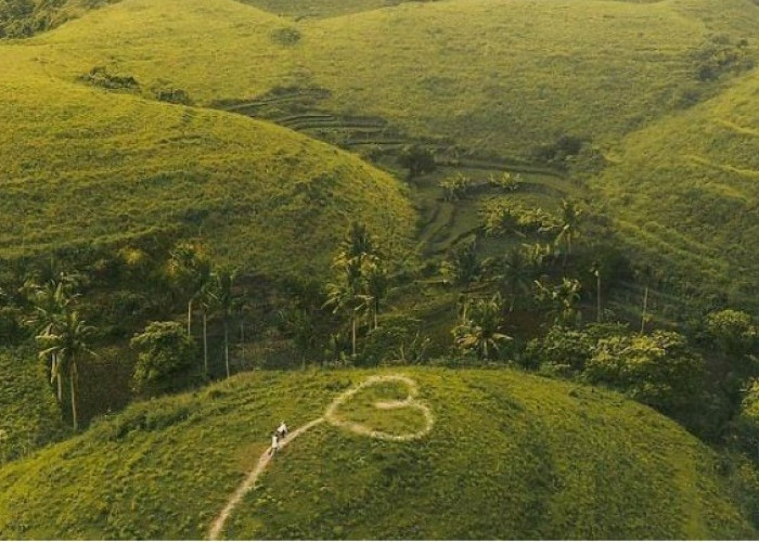 Yuk Nikmati Keindahan Bukit Teletubbies Hill di Nusa Penida, Pesona Alam dengan Titisan Surga