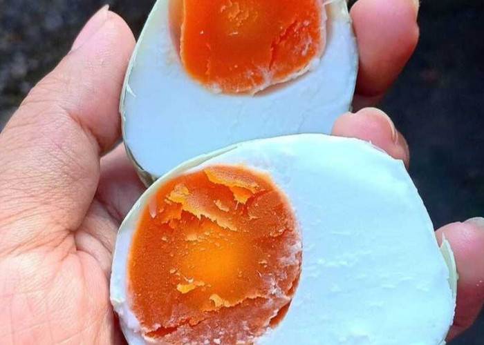 Menikmati Telur Asin Tanpa Kompromi: Panduan Memilih yang Baik dan Aman