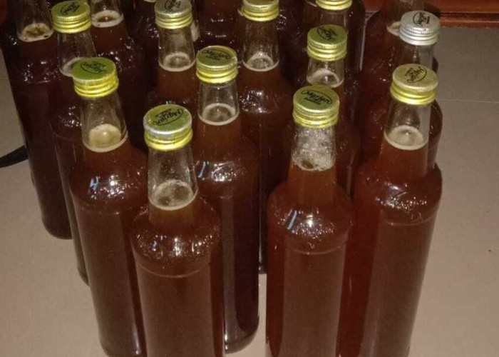 Manfaat Madu untuk Kesehatan: Rahasia Alami Tingkatkan Imunitas dan Energi Tubuh