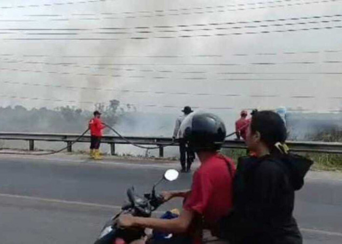 Asap Tebal Selimuti Jalintim Palembang–Indralaya, 10 Hektare Lahan di Ogan Ilir Terbakar