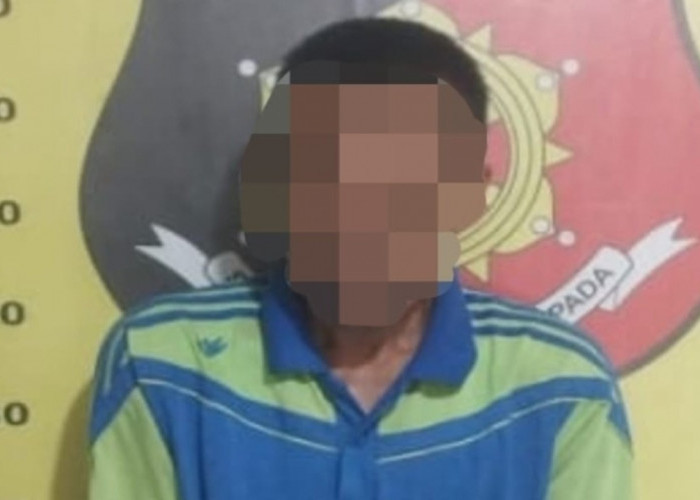 Curi 60 Tandan Sawit, Warga Ujan Mas Dibekuk