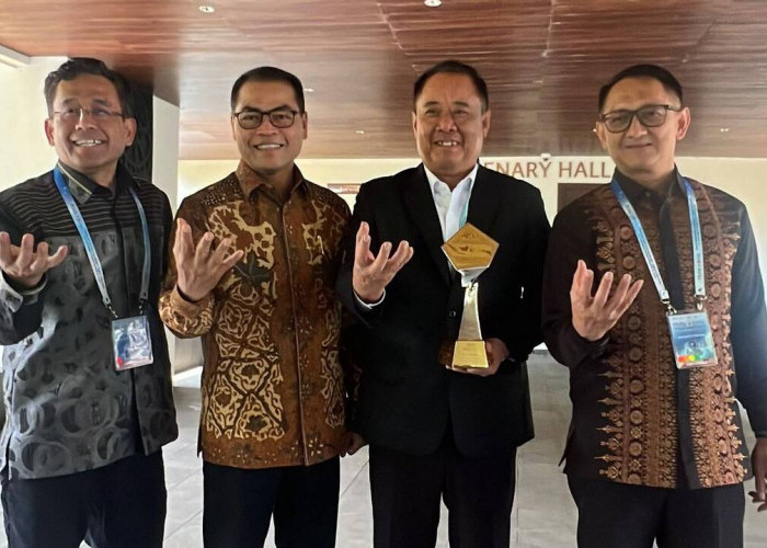 Dua Kali Sumsel Raih Penghargaan TP2DD Tingkat Nasional, HDCU Perkuat Digitalisasi Daerah