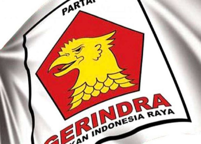   Raih 9 Kursi, NasDem Berjaya di DPRD Palembang  Berikut Daftar Perolehan Kursi Ditiap Dapil
