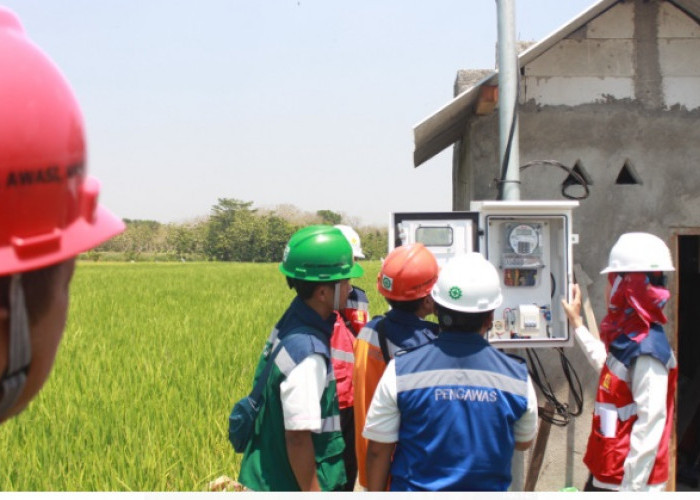 Program Electrifying Agriculture PLN Mampu Tingkatkan Produktivitas Pertanian Padi di Ponorogo