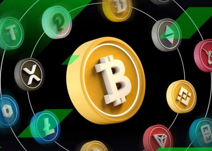 Menelusuri Perjalanan Bitcoin: 4 Coin yang Patut Diperhatikan Para Investor di Tahun 2024