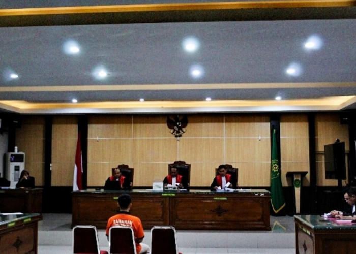 Adik Bos Tambang Batubara Ilegal  Divonis Separuh dari Tuntutan Jaksa