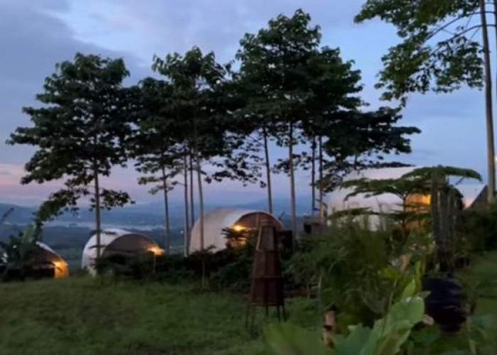 Sejuknya Udara Ciremai Land Glamping: Mengundang Keinginan untuk Bangun Lebih Awal