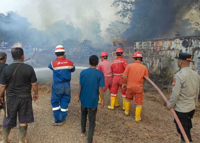 Sekitar 10 Hektare Lahan Terbakar, Tim Gabungan Berjibaku Jinakkan Api 