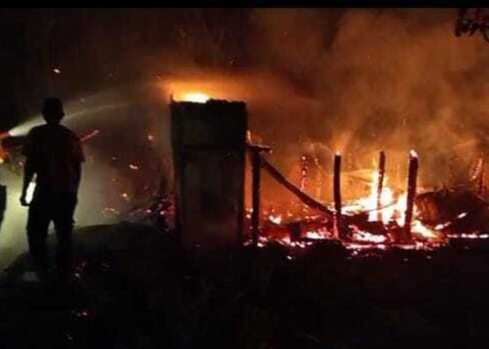 Lansia 95 Tahun Tewas Terpanggang, Dua Rumah di Pulau Semambu Ogan Ilir Ludes Terbakar