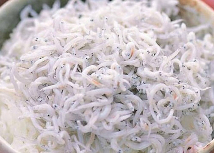Kuliner Aunu Senebre : Kekayaan Rasa dari Tanah Sulawesi Selatan